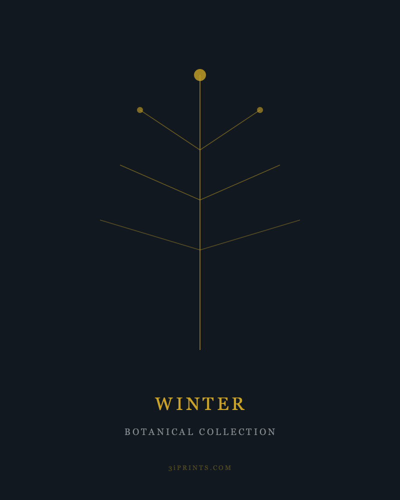 Winter Botanical Art Print — Gold on Dark (Instant Download)